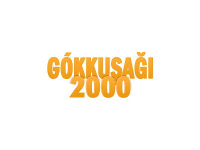 Gökkuşağı 2000 Web Tasarım, Web Yazılım