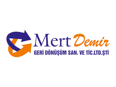 Mert Demir Web Tasarım, Web Yazılım