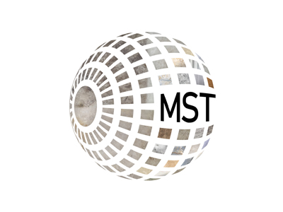 MST MADEN Web Tasarım, Web Yazılım
