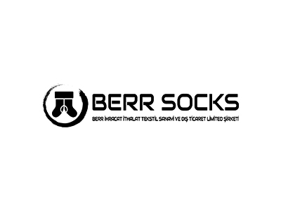 BERR SOCKS Web Tasarım, Web Yazılım